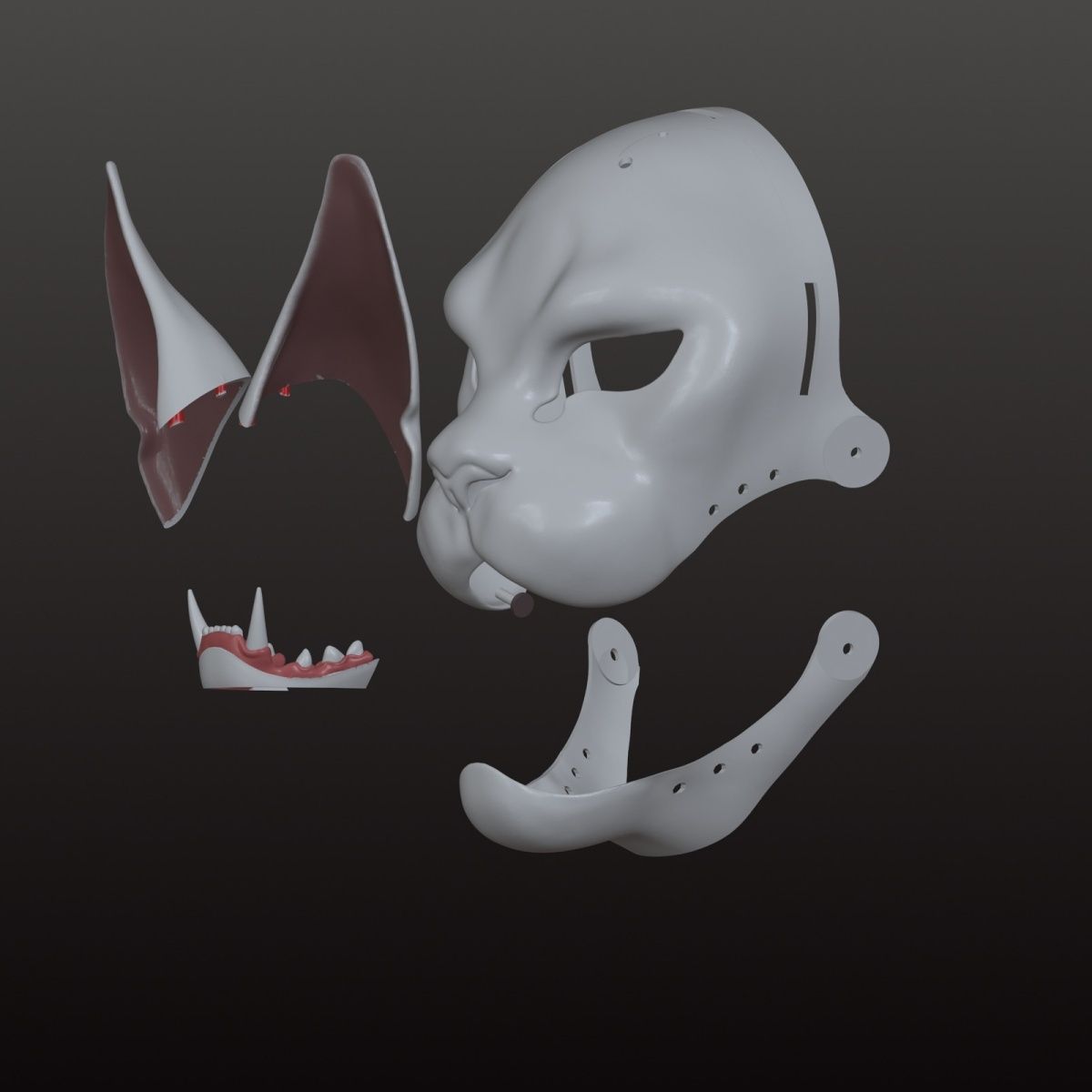 Realistic Maine Coon Skull Articulated Jaw