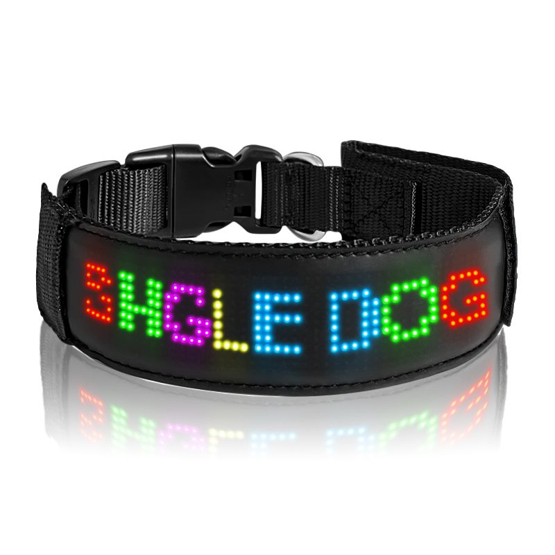 LED Light-Up Dog Collar – USB Rechargeable