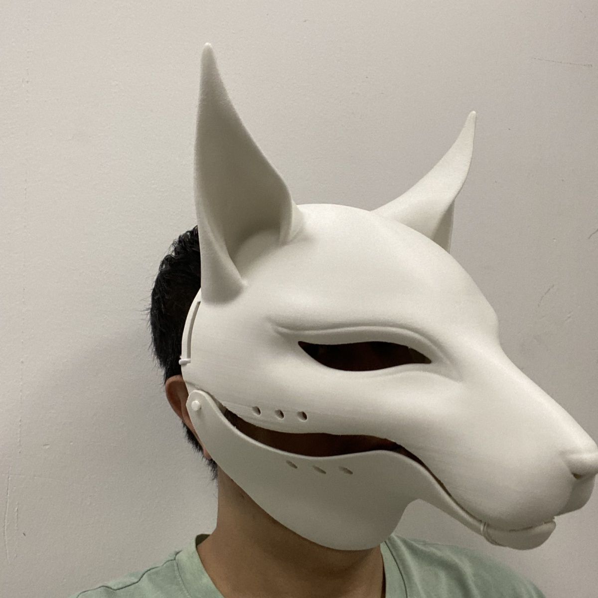 Canine semi-realistic animal skull