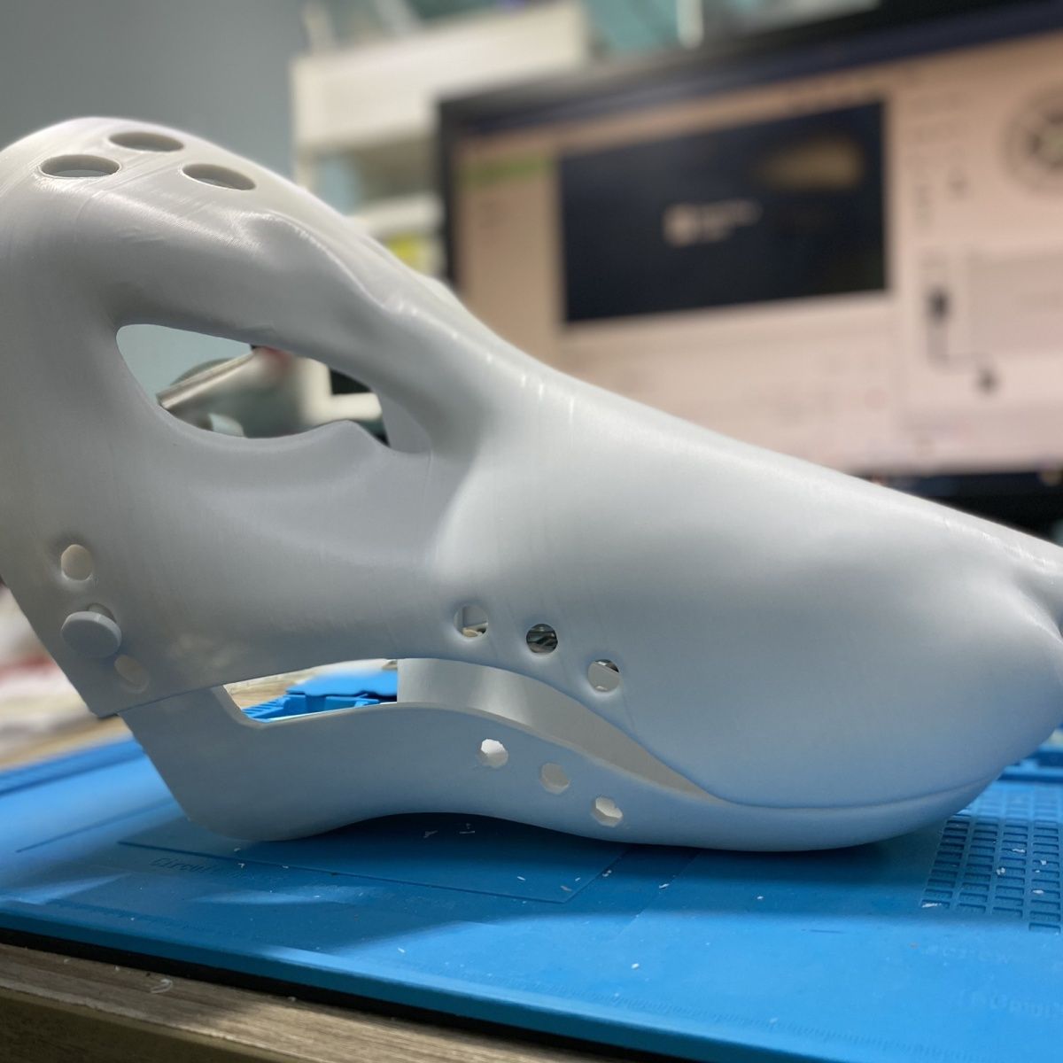 Fox, long snout, semi-realistic animal skull