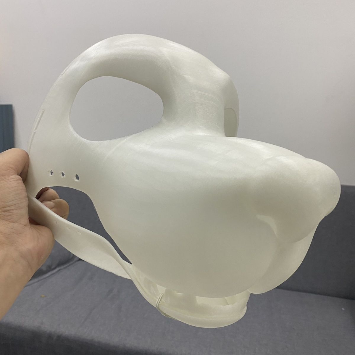 Dog, Canine, American-style animal skull