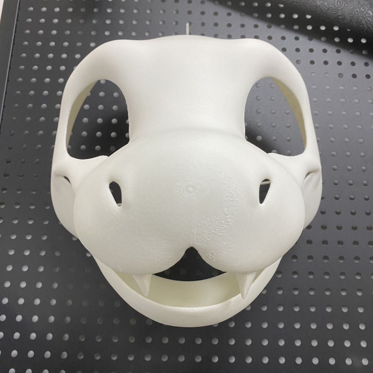 Animal skull, small snake head shell