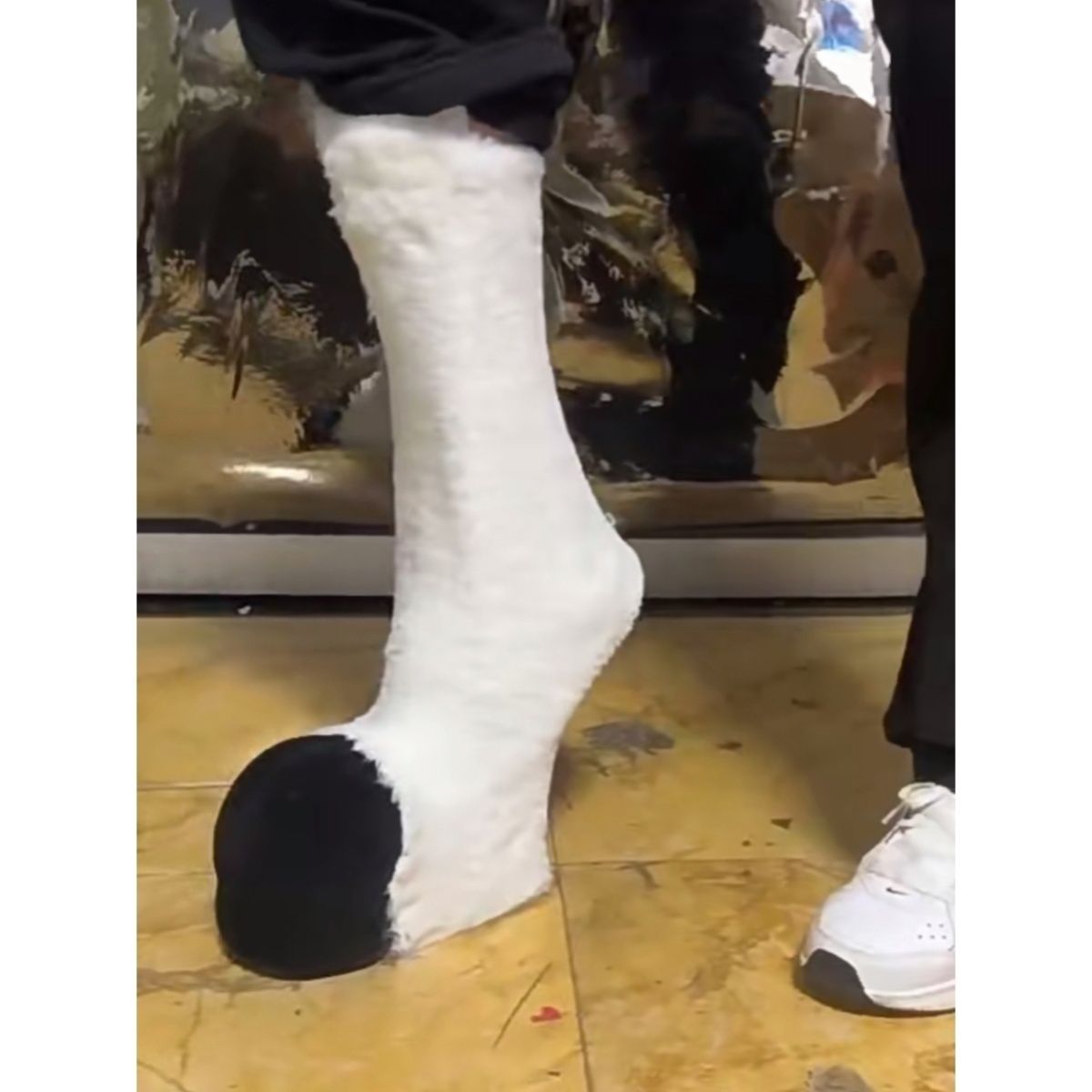 3D printed plastic shell for animal feet with curved legs