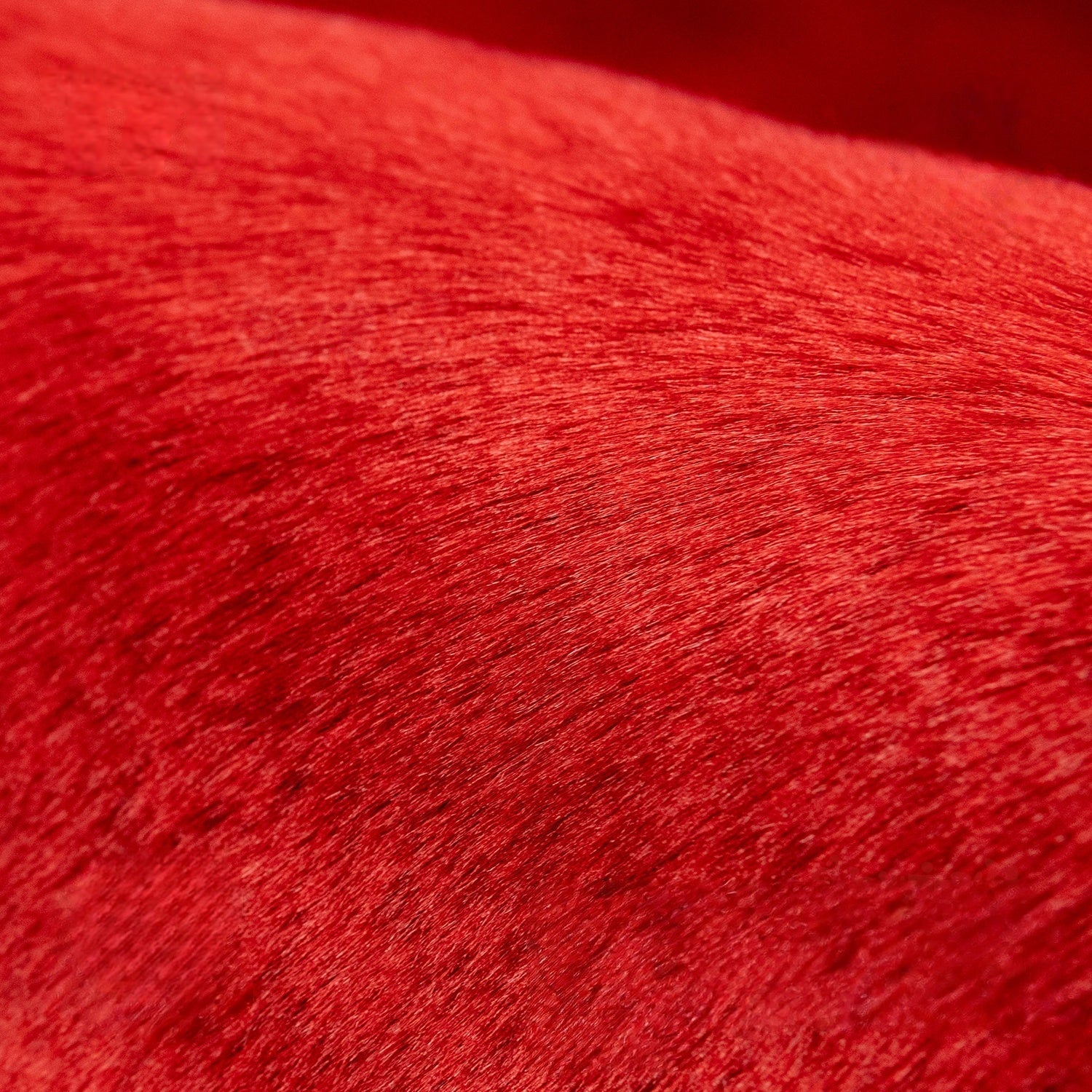 Red Series Bunny Shag