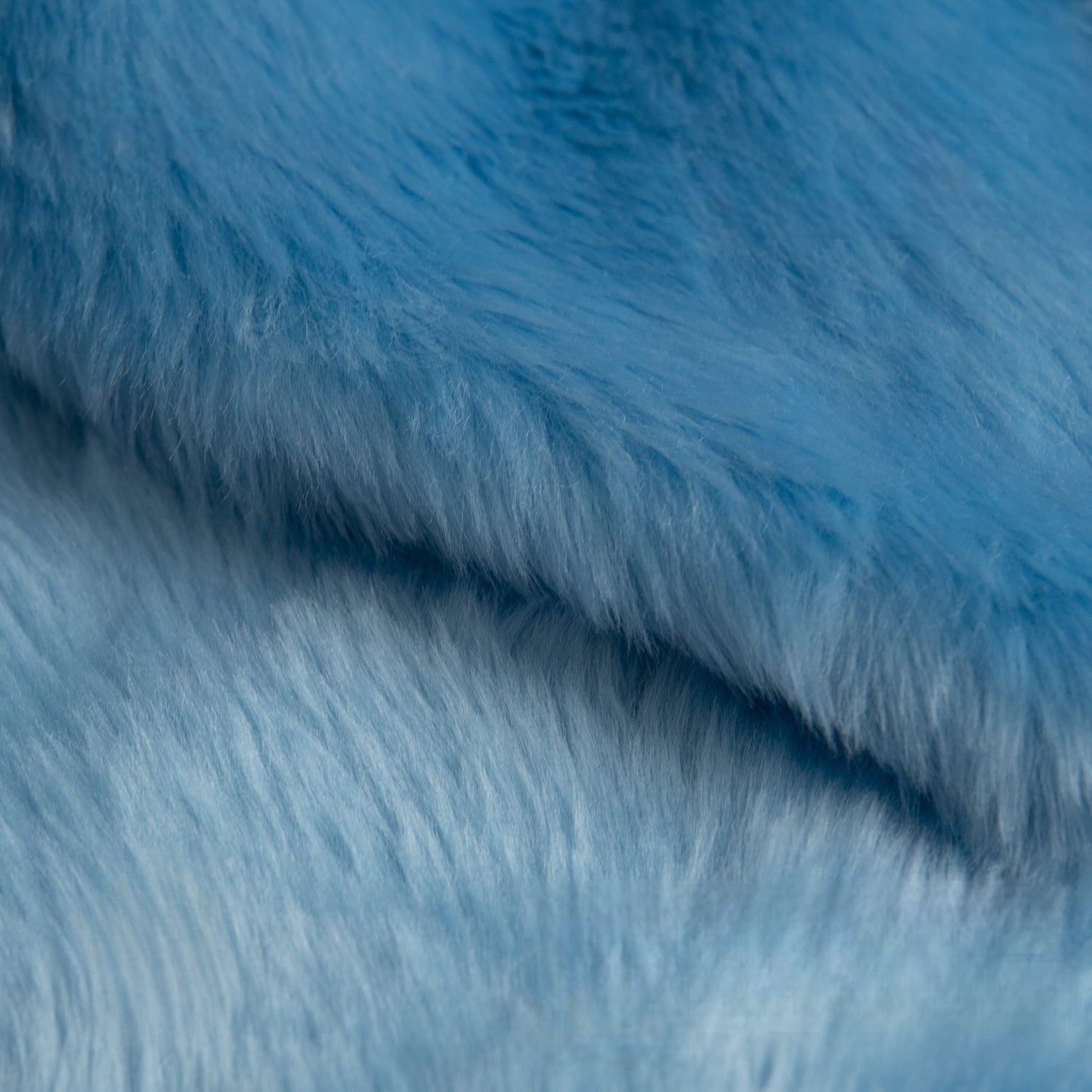 Blue Series Bunny Shag