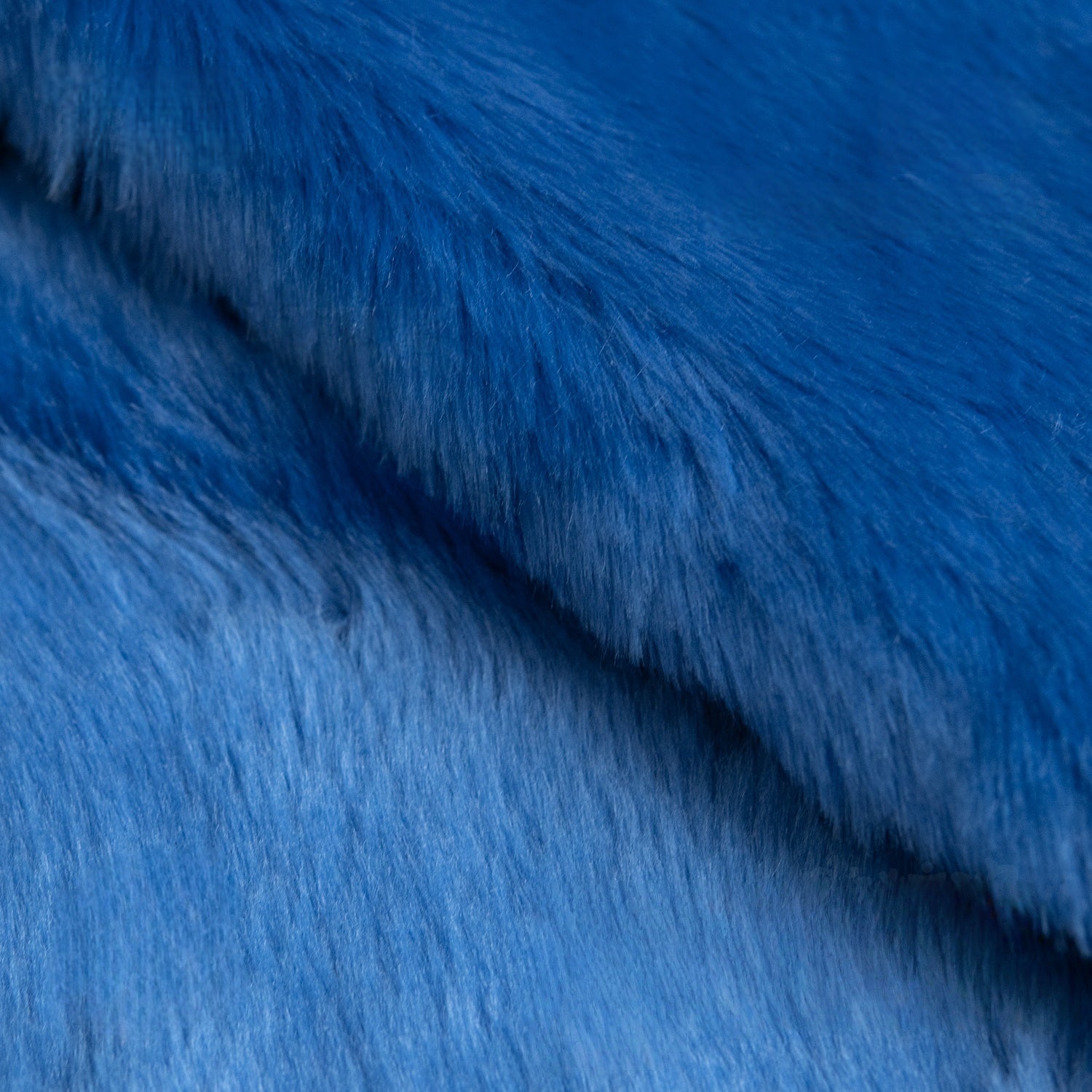 Blue Series Bunny Shag