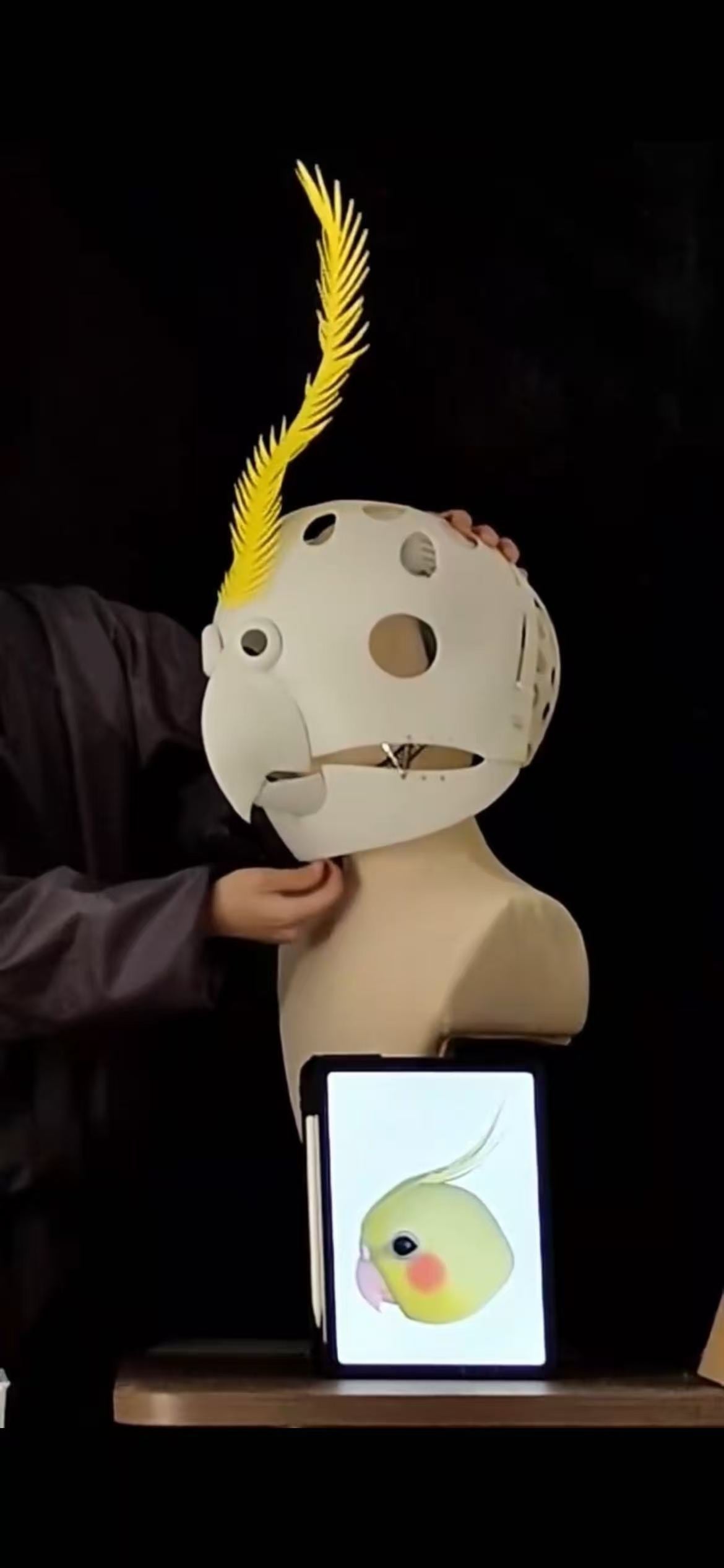 American Parrot Bird